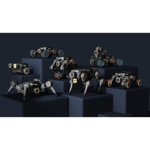 Bluetooth Joystick (accessorio opzionale per codice ERMP102 e ERXF102)
