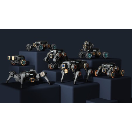 Bluetooth Joystick (accessorio opzionale per codice ERMP102 e ERXF102)