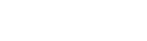 DIVISIONE SERVICE